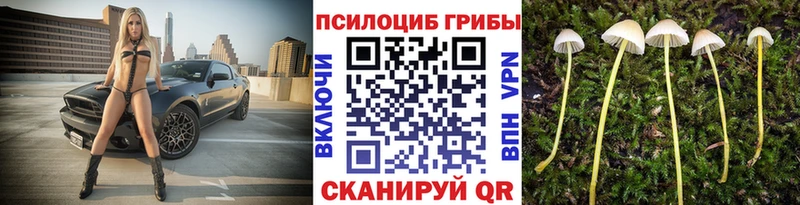 Псилоцибиновые грибы GOLDEN TEACHER  Купить  Макарьев 